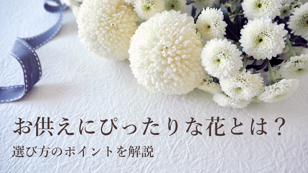 お供えにぴったりな花とは？選び方のポイントを解説